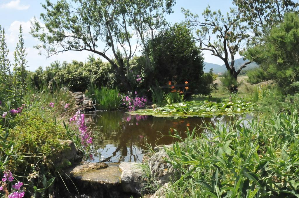 La Verdine Vérin Habitación foto